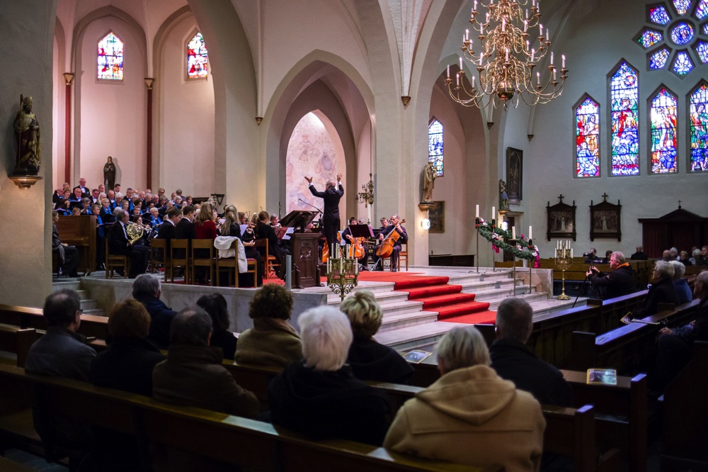 17 LR - Leo Smeets Concert - © Jeroen van Heijningen-.jpg